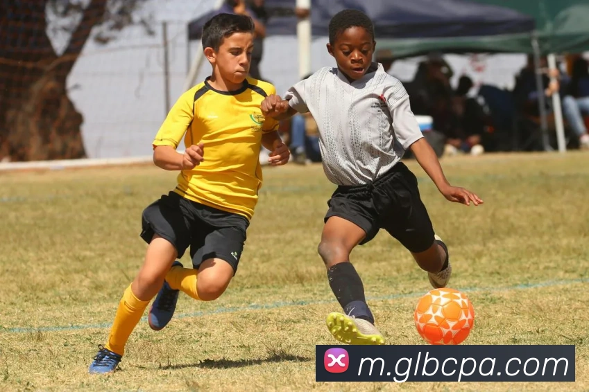 辅助工具 辅助工具